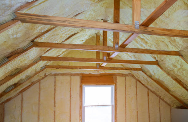 Best Residential Insulation in Tappahannock, VA