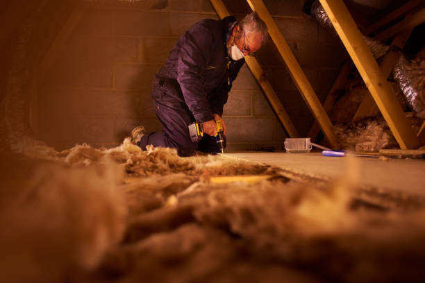 Best Eco-Friendly Insulation in Tappahannock, VA